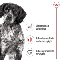 Royal Canin Medium Adult 40 x 140 g
