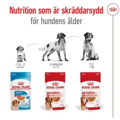 Royal Canin Medium Adult 40 x 140 g