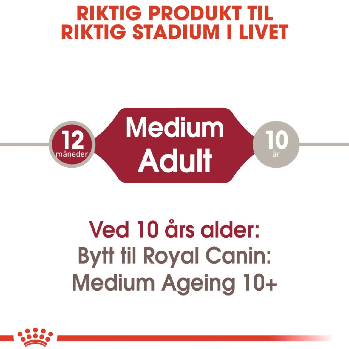 Royal Canin Medium Adult 40 x 140 g