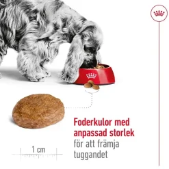 Royal Canin Medium Adult 7+ 2 x 15kg
