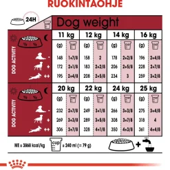 Royal Canin Medium Ageing 10+, 15 kg
