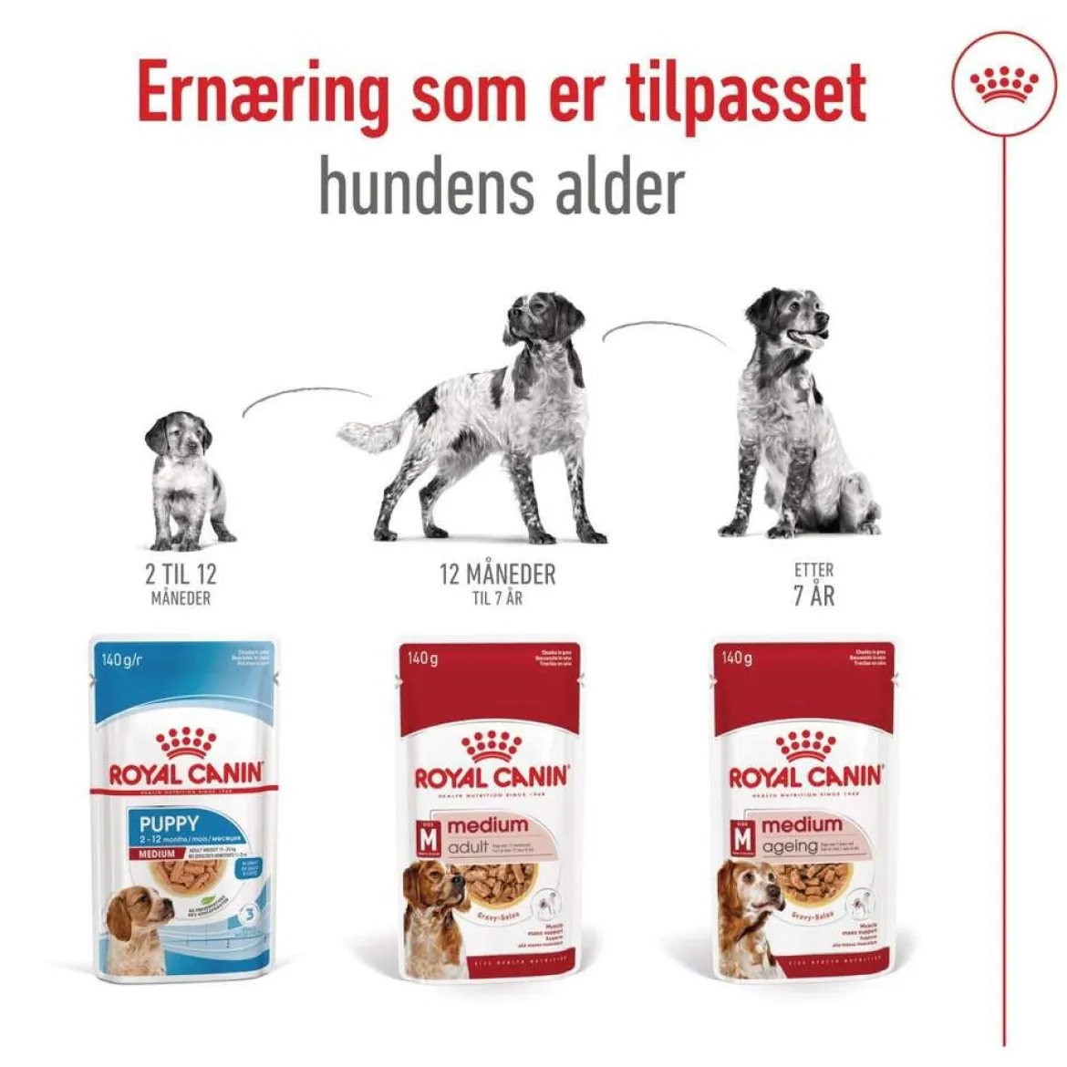 Royal Canin Medium Ageing Wet 10 x 140 g