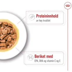 Royal Canin Medium Ageing Wet 10 x 140 g
