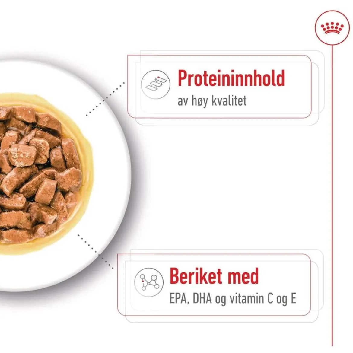 Royal Canin Medium Ageing Wet 10 x 140 g