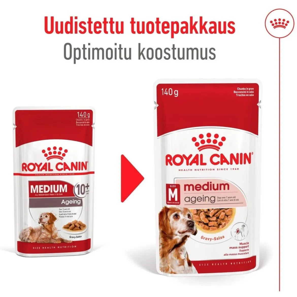 Royal Canin Medium Ageing Wet 10 x 140 g