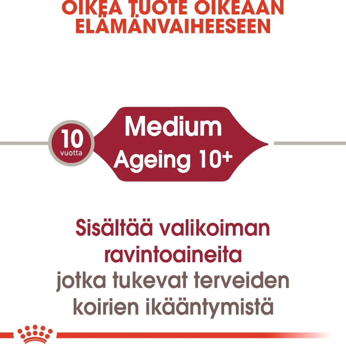Royal Canin Medium Ageing Wet 10 x 140 g