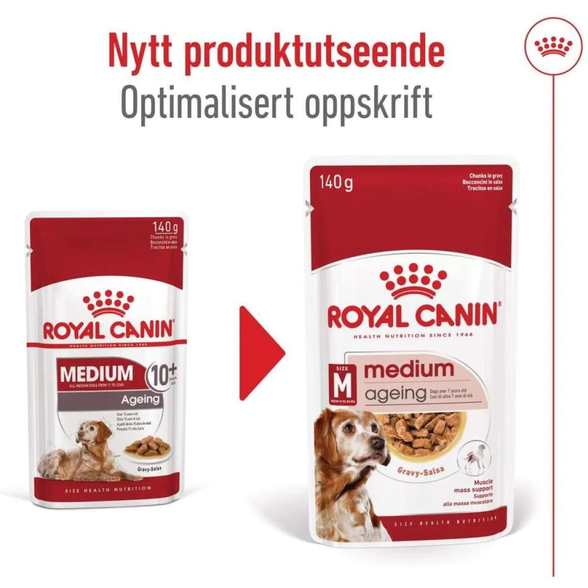 Royal Canin Medium Ageing Wet 10 x 140 g