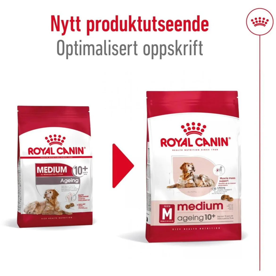Royal Canin Medium Ageing 10+ 2 x 15kg