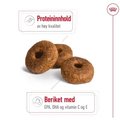 Royal Canin Medium Ageing 10+ 2 x 15kg