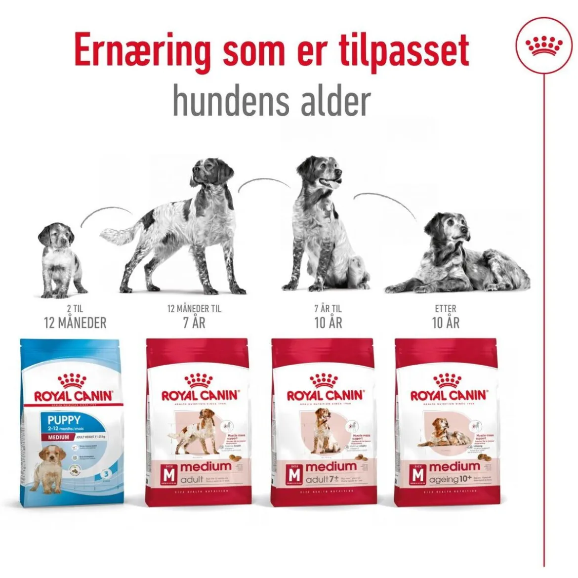 Royal Canin Medium Ageing 10+ 2 x 15kg