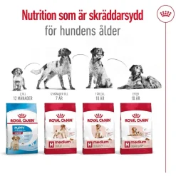 Royal Canin Medium Ageing 10+ 2 x 15kg