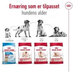 Royal Canin Medium Ageing 10+ 2 x 15kg