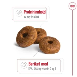 Royal Canin Medium Ageing 10+ 2 x 15kg