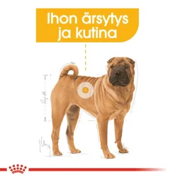 Royal Canin Medium Dermacomfort