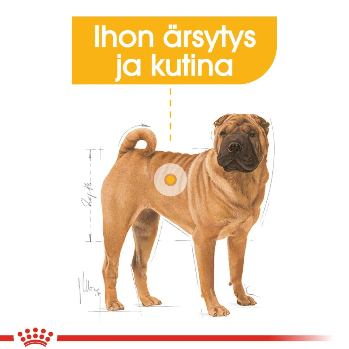 Royal Canin Medium Dermacomfort