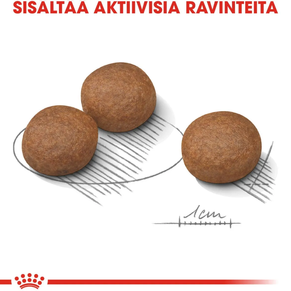 Royal Canin Medium Digestive Care