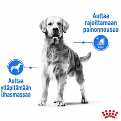 Royal Canin Medium Light Weight Care