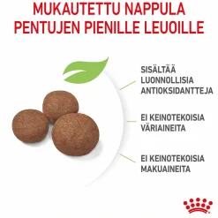 Royal Canin Medium Puppy
