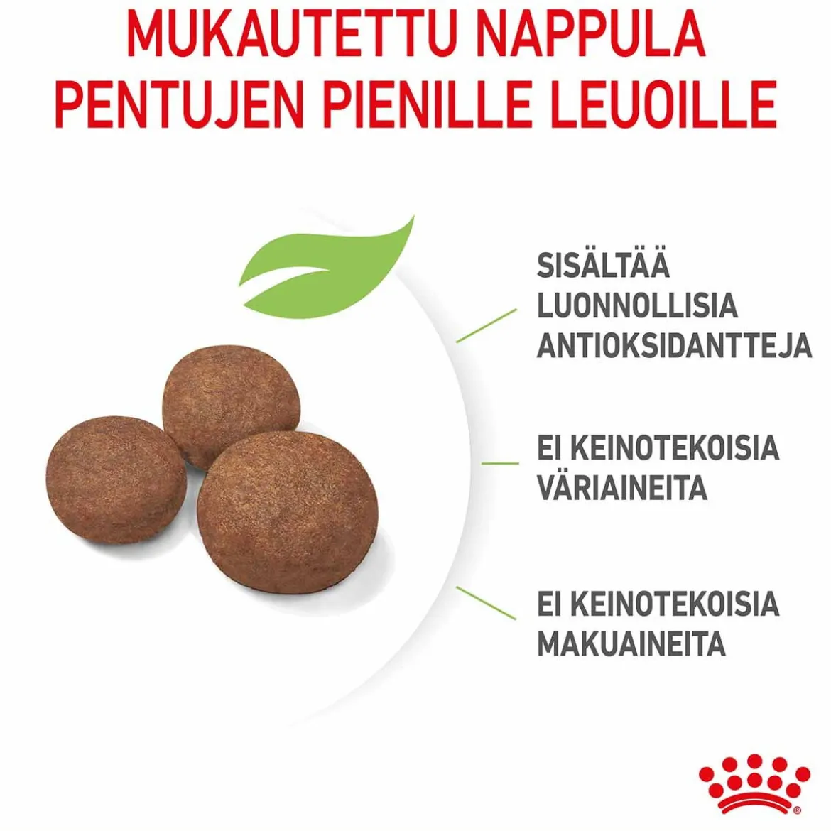 Royal Canin Medium Puppy