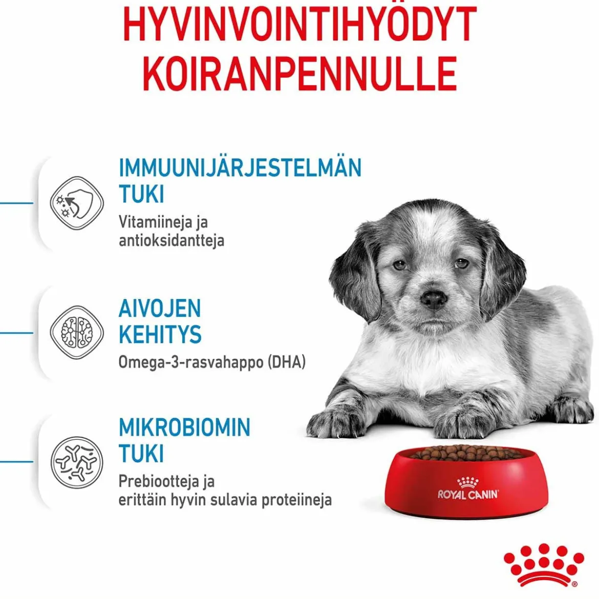 Royal Canin Medium Puppy