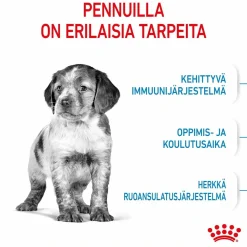 Royal Canin Medium Puppy