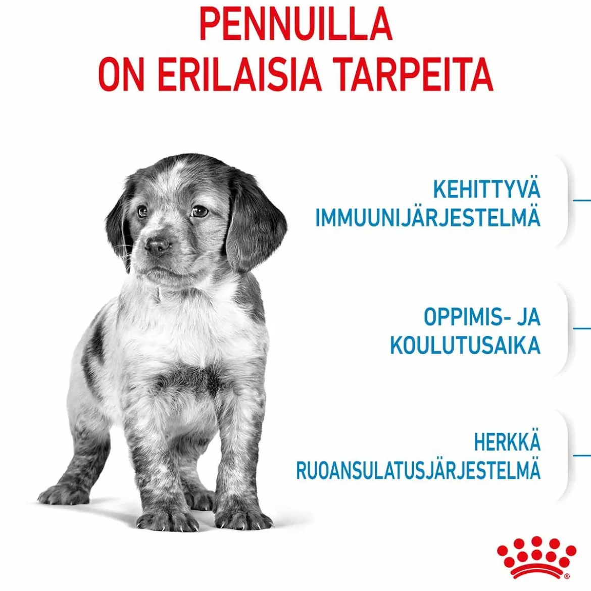 Royal Canin Medium Puppy