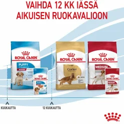 Royal Canin Medium Puppy Wet 10x140g