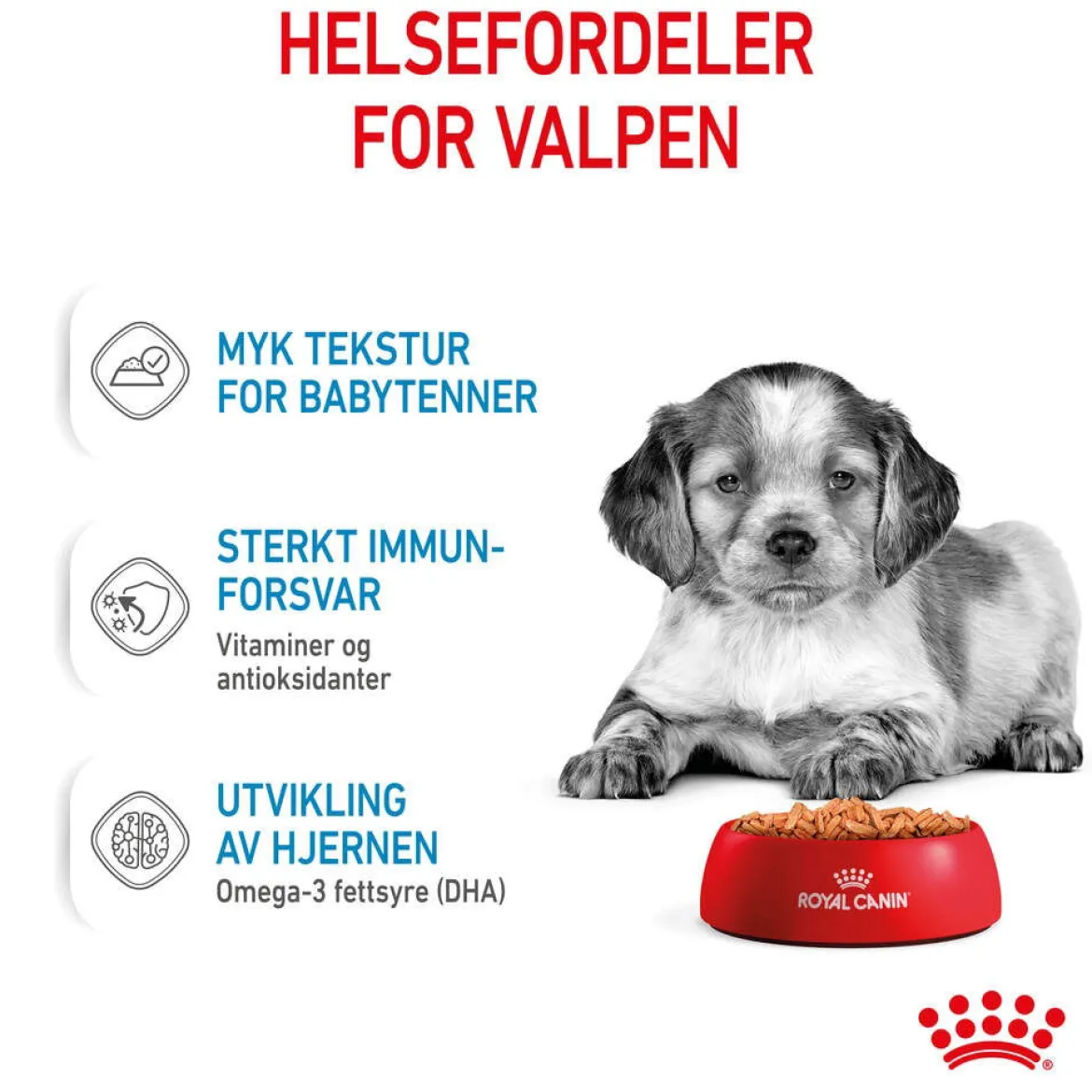 Royal Canin Medium Puppy 40x140 g