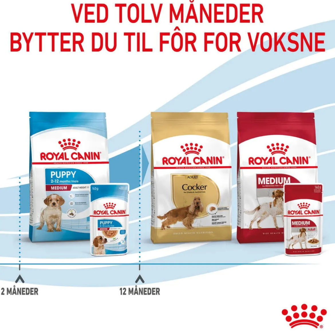 Royal Canin Medium Puppy 40x140 g