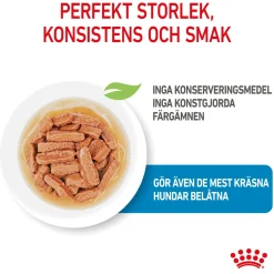 Royal Canin Medium Puppy 40x140 g