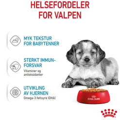 Royal Canin Medium Puppy 40x140 g
