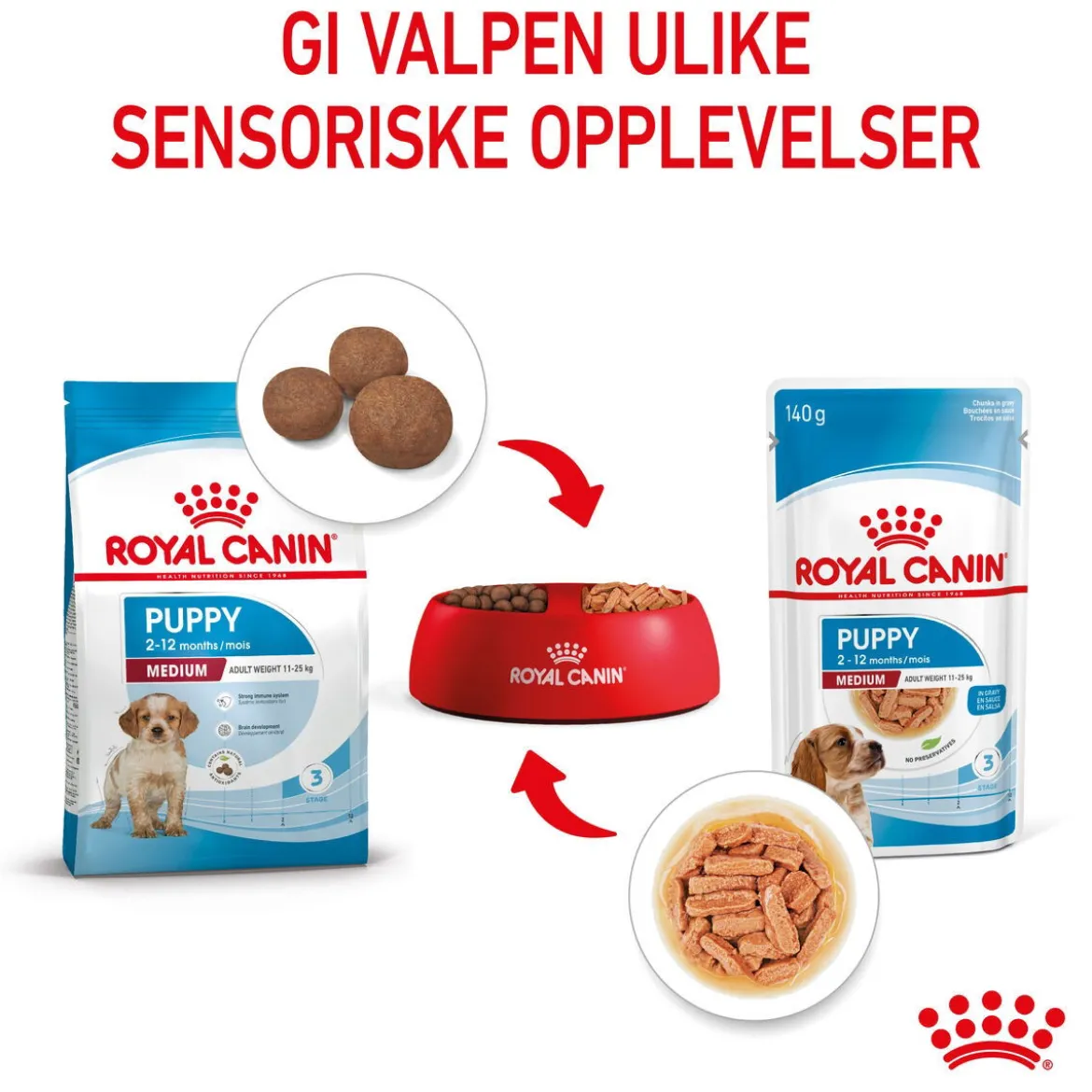 Royal Canin Medium Puppy 40x140 g