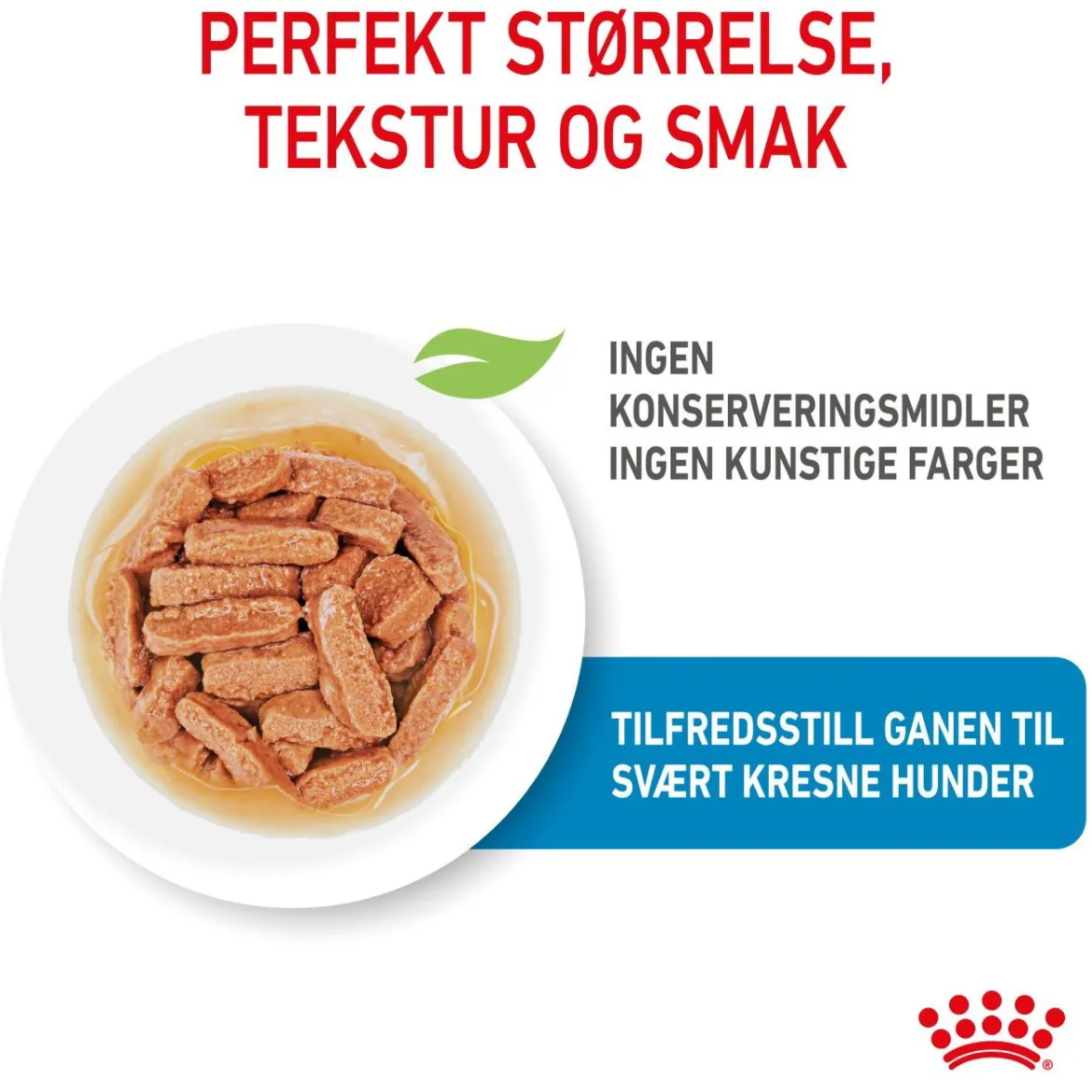 Royal Canin Medium Puppy 40x140 g