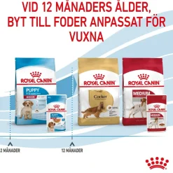 Royal Canin Medium Puppy 40x140 g