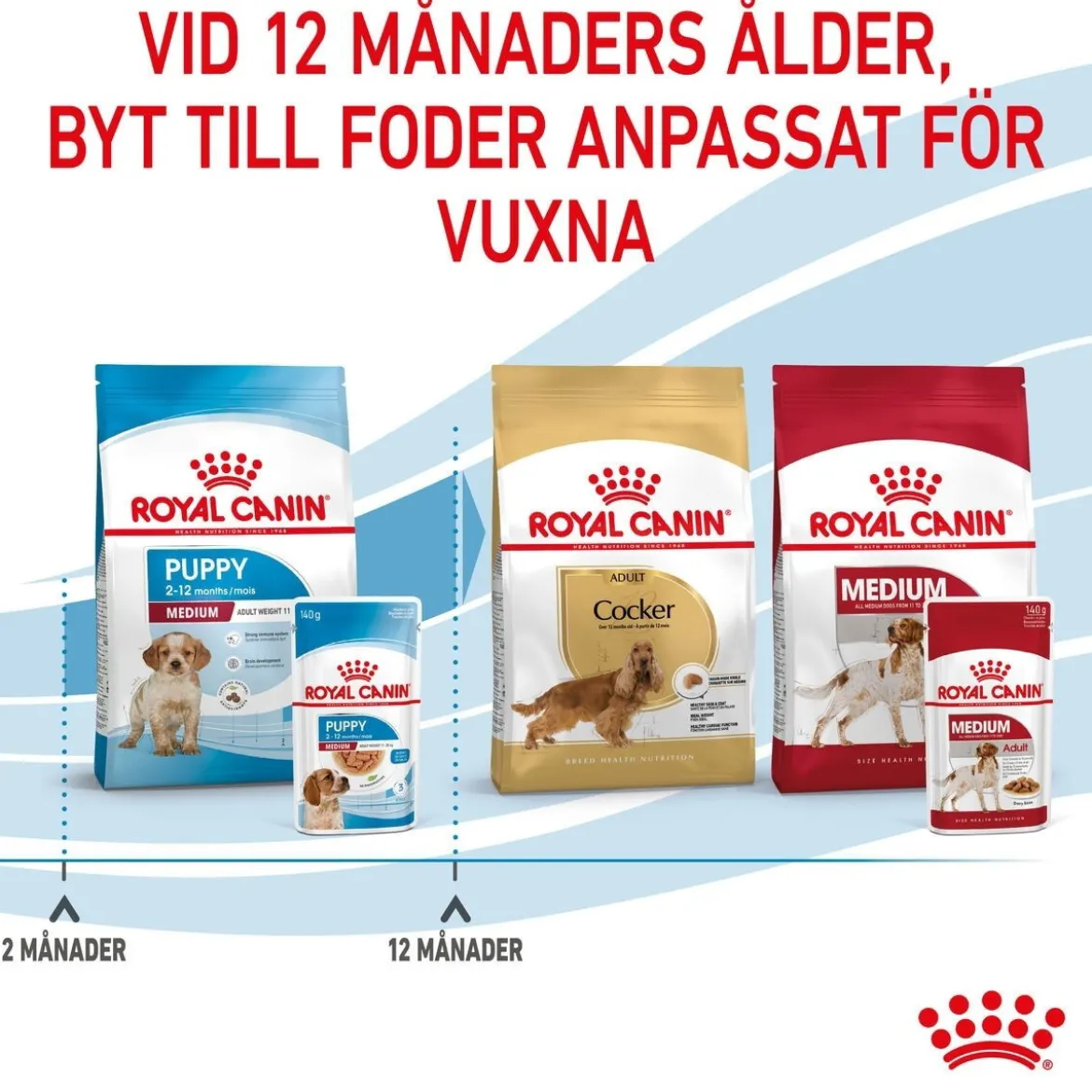 Royal Canin Medium Puppy 40x140 g