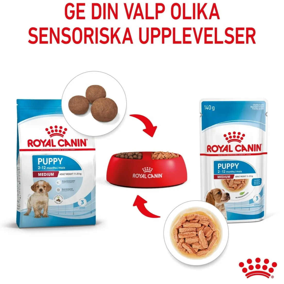 Royal Canin Medium Puppy 40x140 g