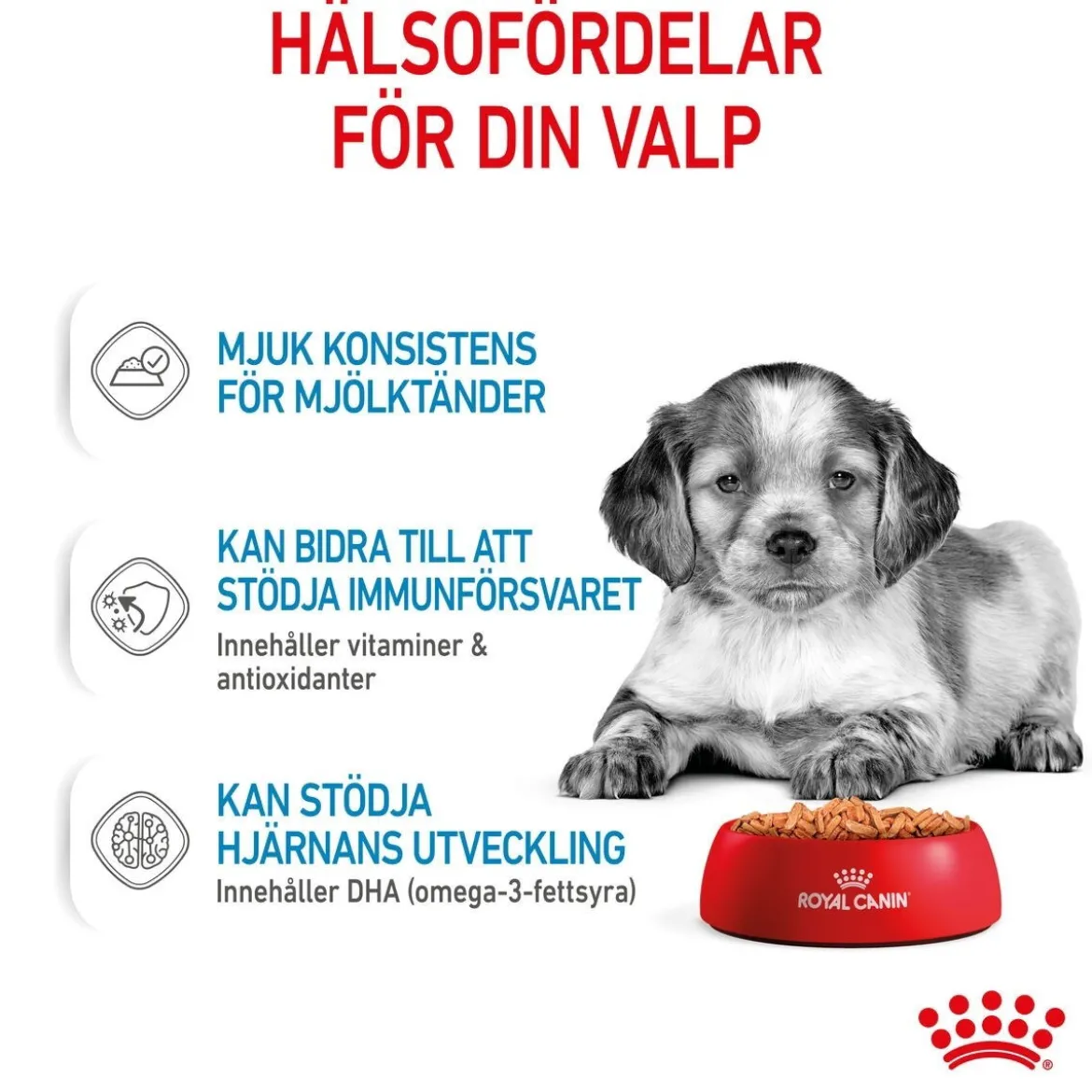 Royal Canin Medium Puppy 40x140 g