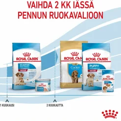 Royal Canin Medium Starter
