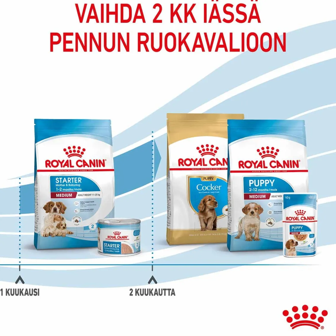 Royal Canin Medium Starter