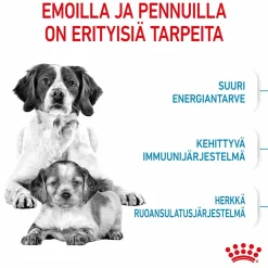 Royal Canin Medium Starter