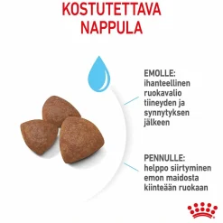 Royal Canin Medium Starter