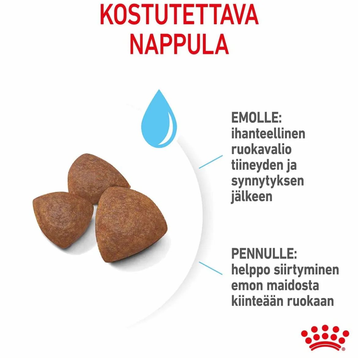 Royal Canin Medium Starter