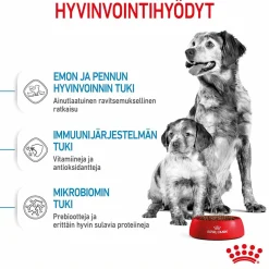 Royal Canin Medium Starter