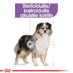 Royal Canin Medium Sterilised