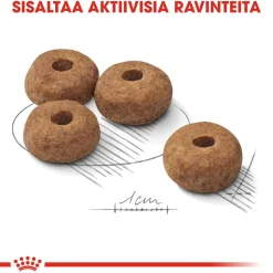 Royal Canin Medium Sterilised