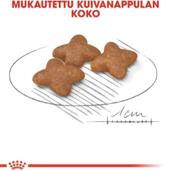 Royal Canin Mini Adult