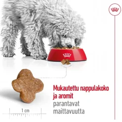 Royal Canin Mini Adult 8+