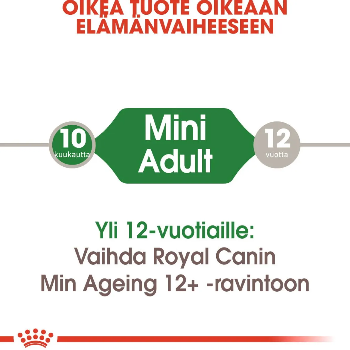 Royal Canin Mini Adult Wet 12 x 85 g
