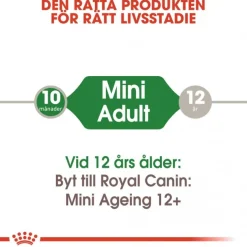 Royal Canin Mini Adult 48 x 85 g