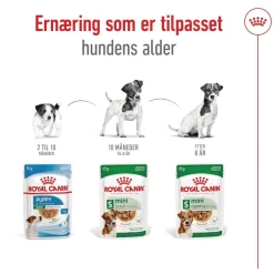 Royal Canin Mini Adult 48 x 85 g